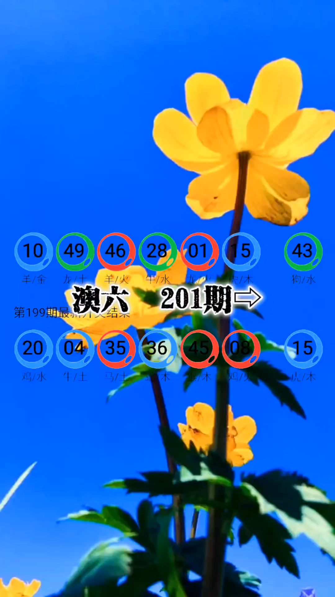 新奥精准精选免费提供