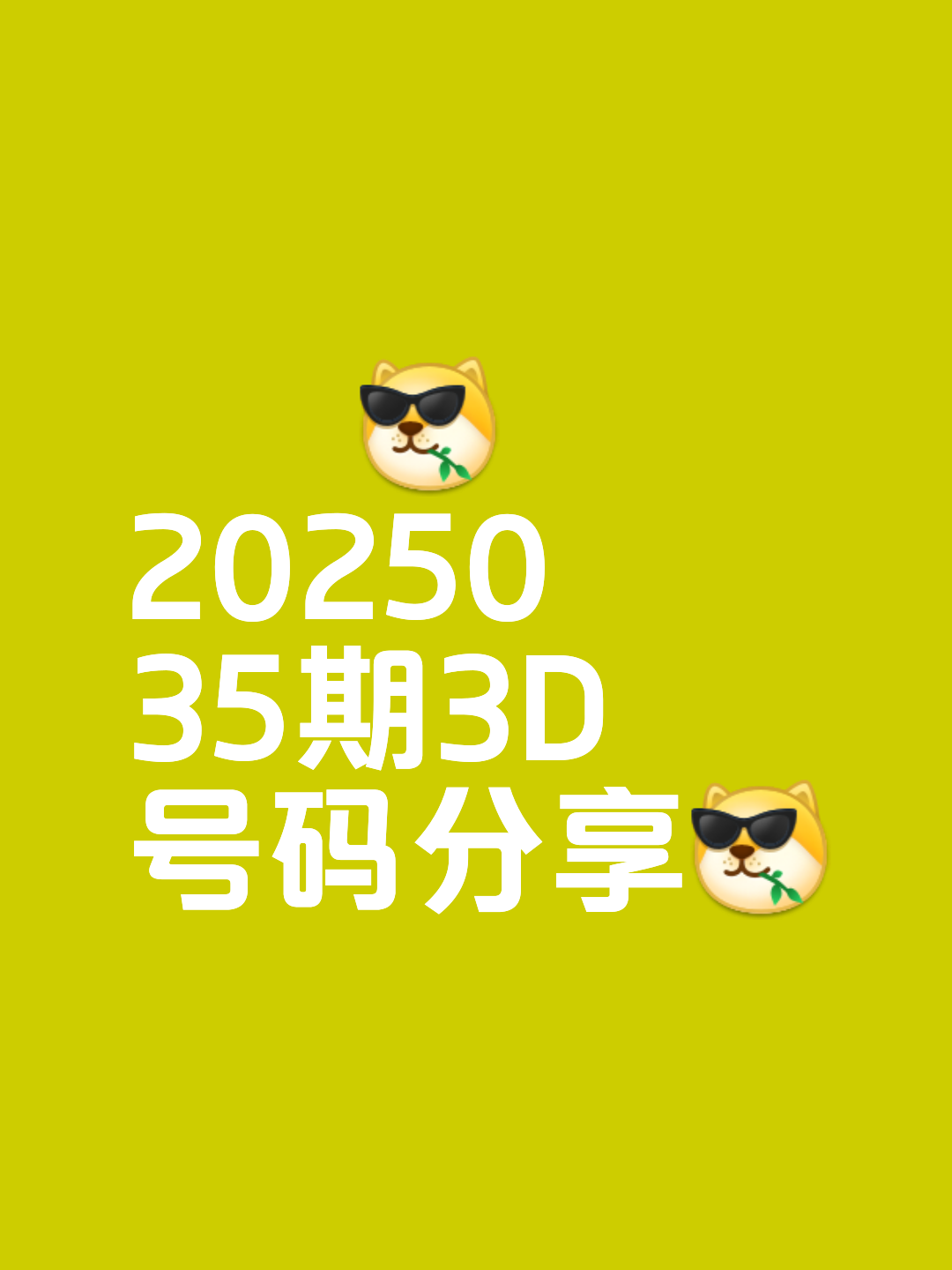 2025精准资料免费大全下载安装