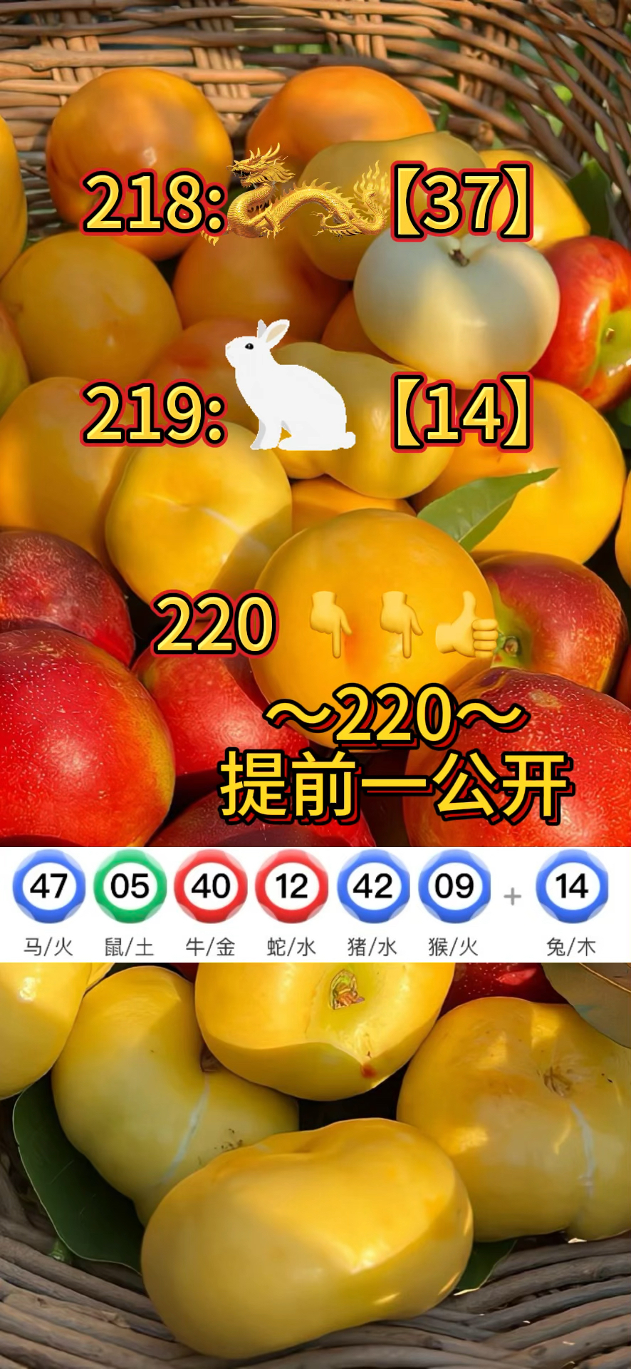 澳资料免费大全