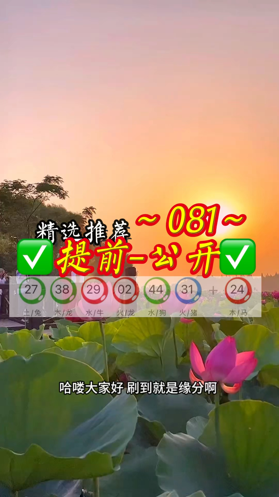 新澳内幕消息直播