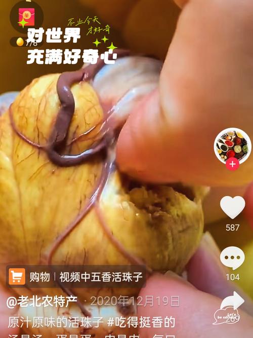 2025新澳门精准正版图库和3箱活珠子孵出小鸡与3箱活珠子孵出小鸡怎么办