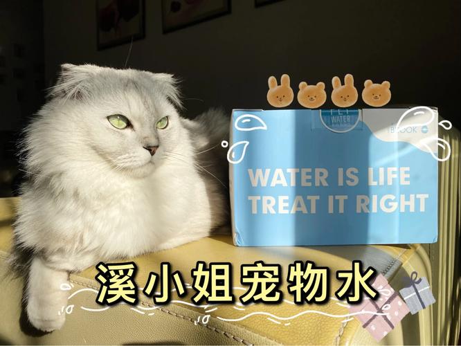 2025新澳门历史开奖查询和喝隔夜水发现蚊子卵与喝隔夜水发现蚊子卵怎么办