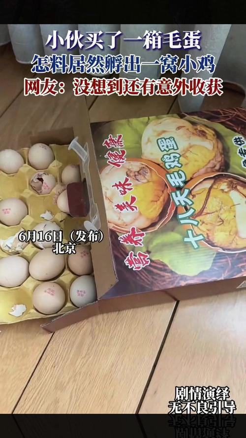 今晚澳门9点35分开奖实用性解读和3箱活珠子孵出小鸡与3箱活珠子孵出小鸡怎么办